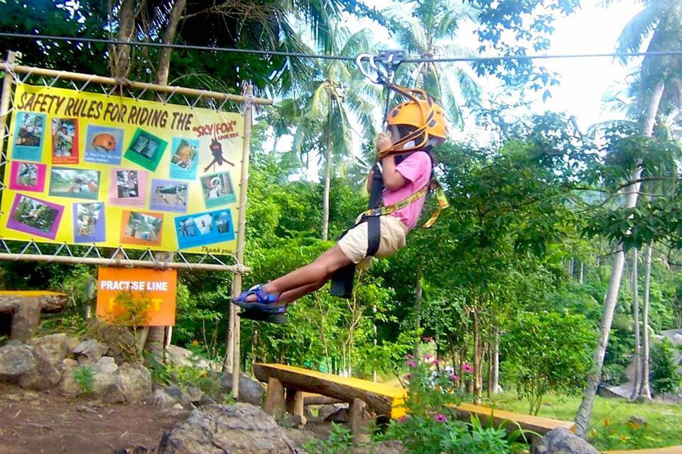 Zipline through the jungle