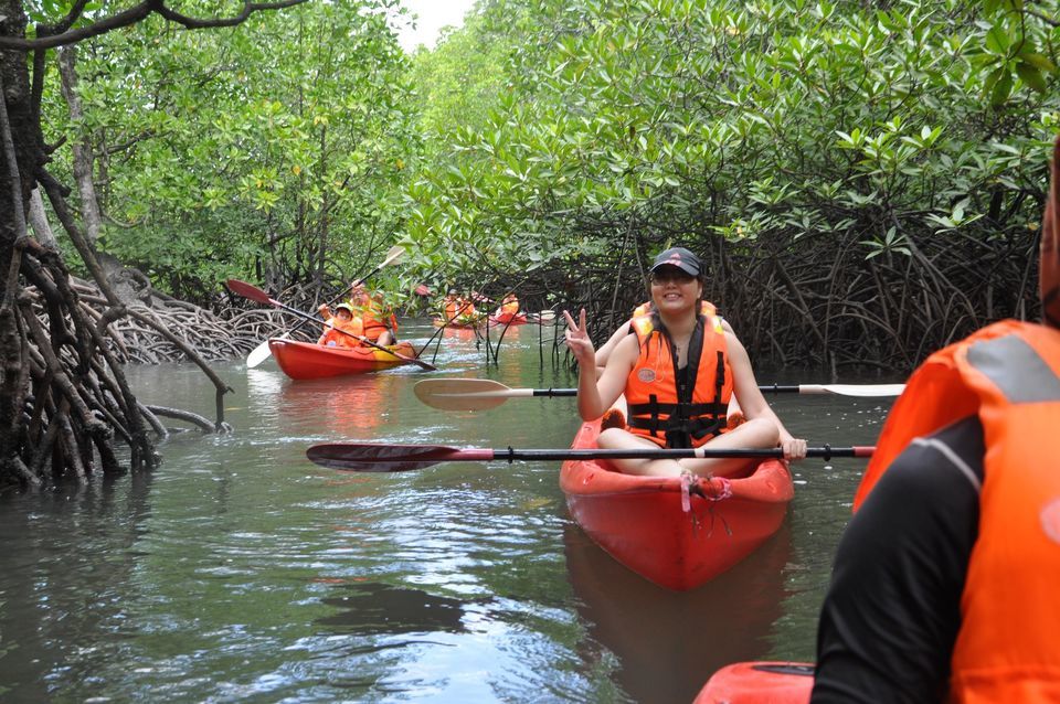 Mangrove Safari along Kilim River 4 Hour Kayaking Tour