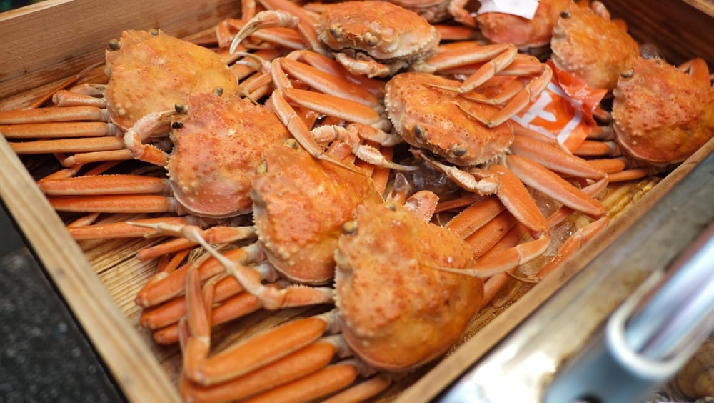 Sapporo City Central Wholesale Market