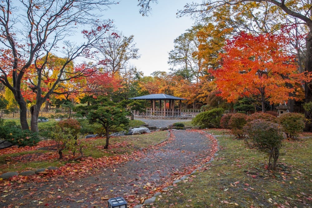 Nakajima Park