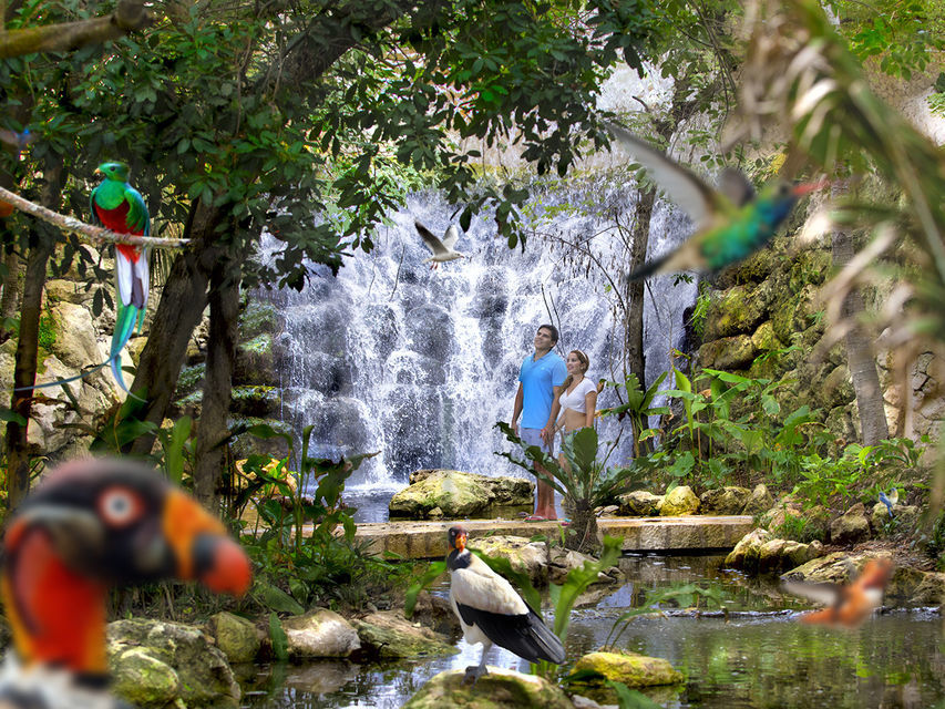Discover Xcaret Park