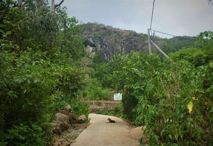 A road in a Knuckles Mountain Range village