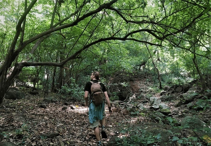 Trekking in the Knuckles Range