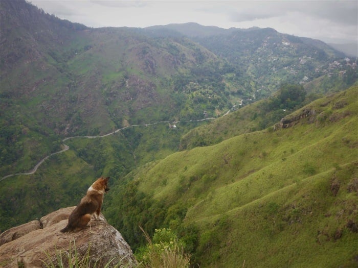 Ella: my coolest place to stay in Sri Lanka