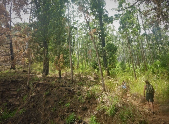 Hiking up Ella rock nature trail