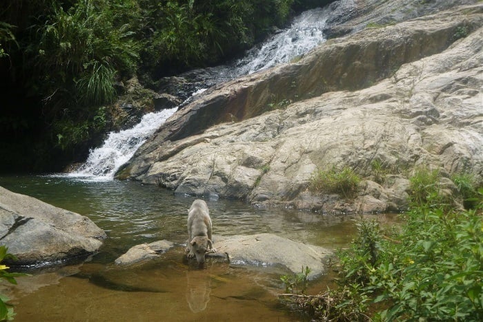 Secret Waterfall: waterfalls in Ella