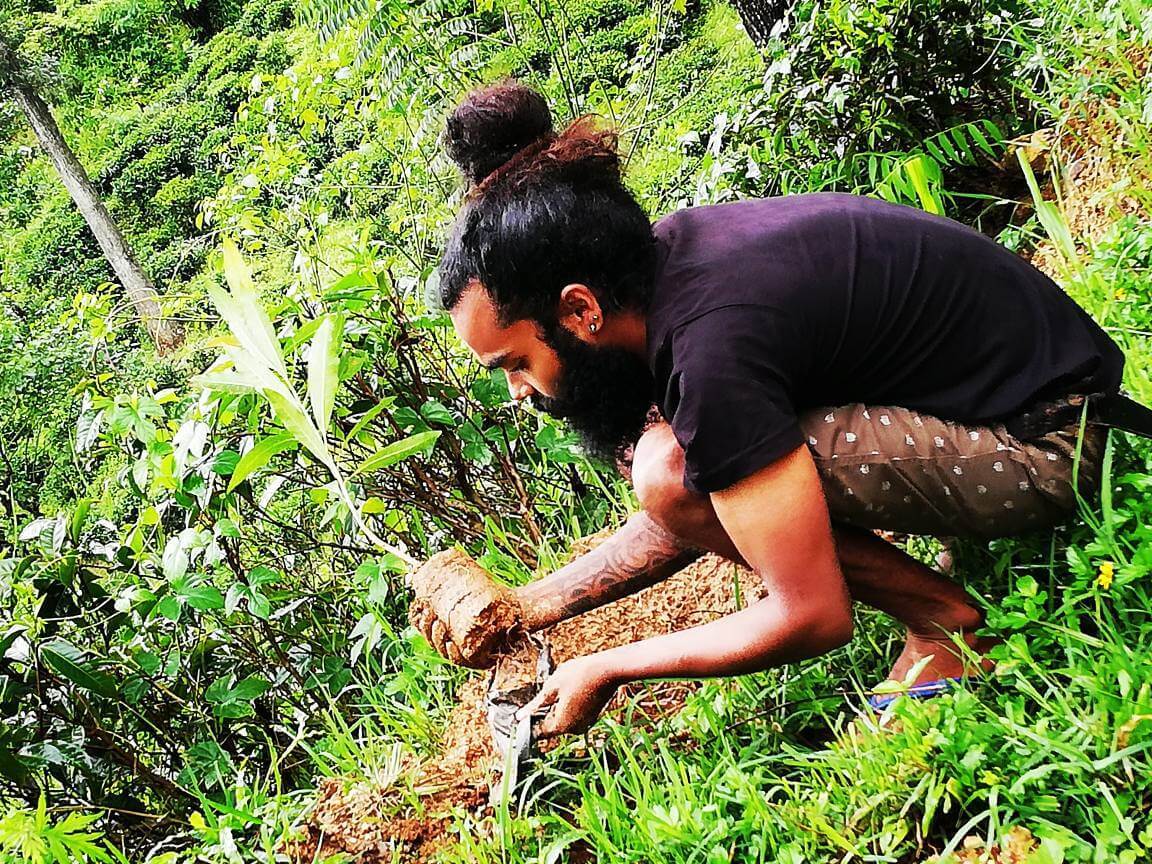 Planting trees in Ella, my favourite of Sri Lanka's travel places