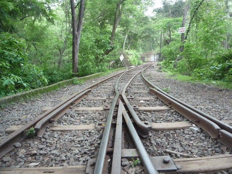 Sanjay Gandhi National Park