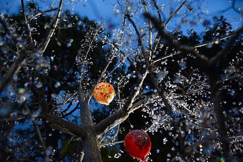 Hakone Glass Forest Museum