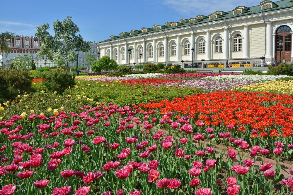 The Alexander Garden