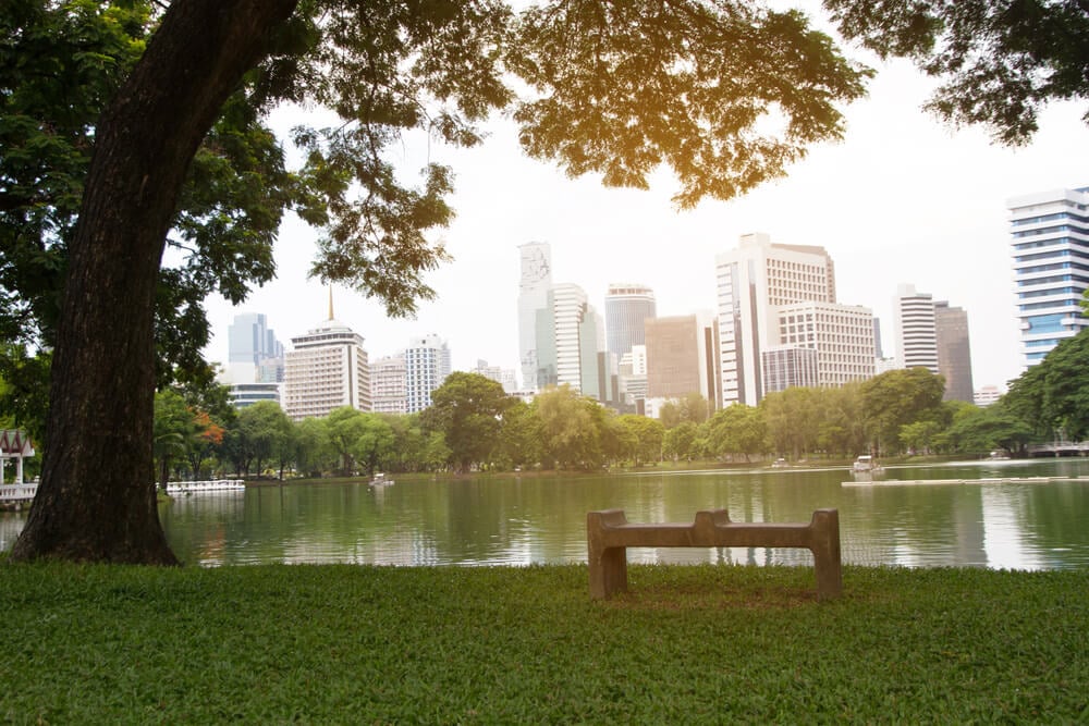 Peaceful ambiance at Lumpini Park in Bangkok