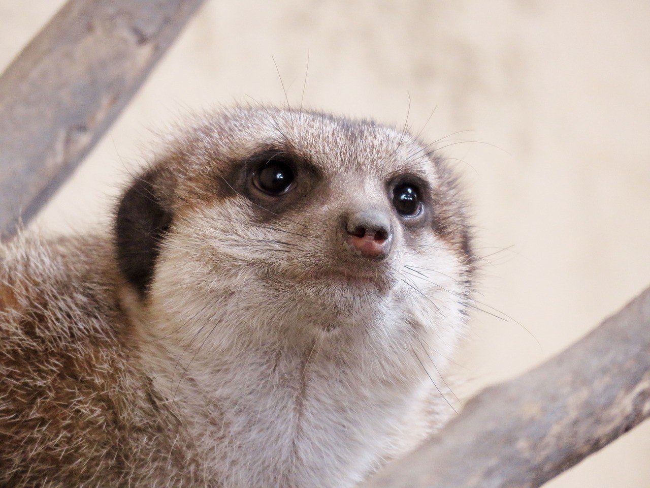 Calgary Zoo