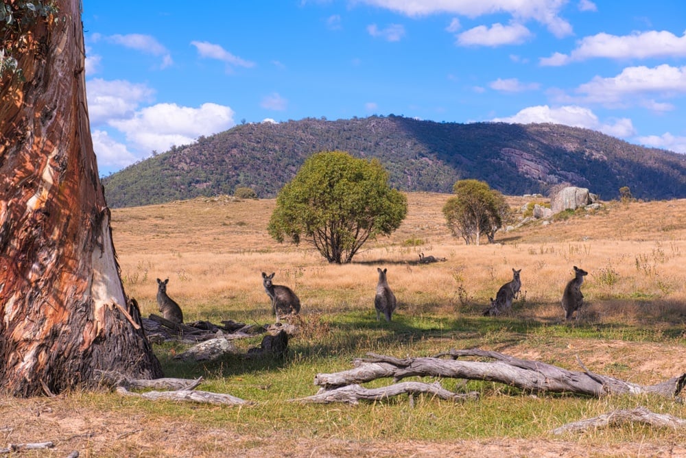 Namadgi National Park, Canberra