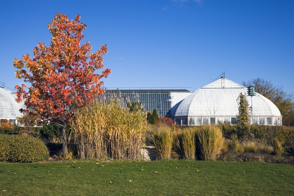 Garfield Park Conservatory, Chicago