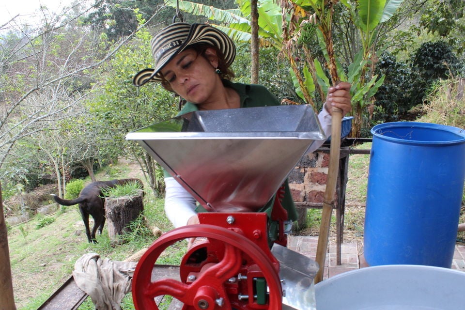 Choachi for Coffee Tasting