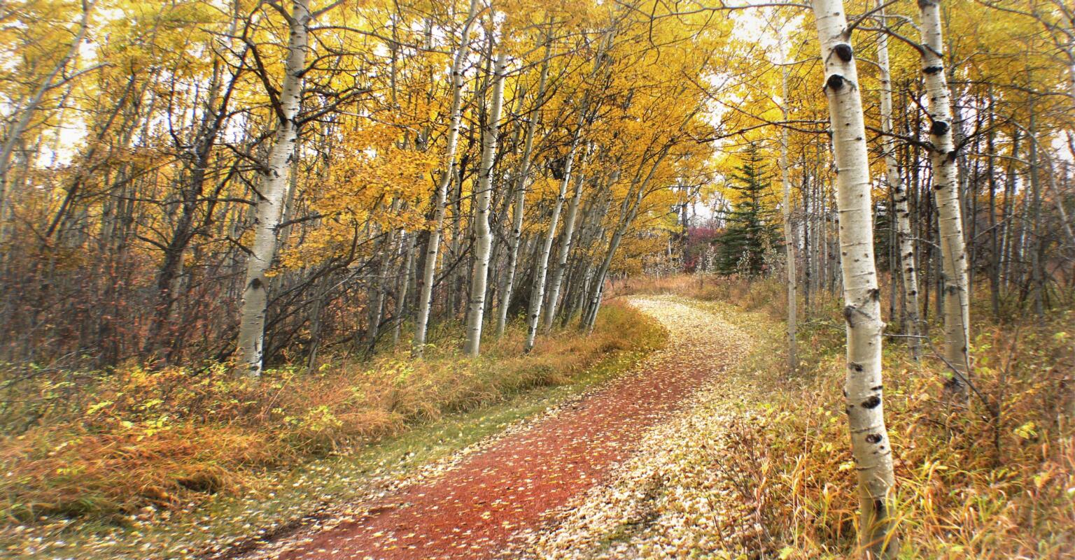 Fish Creek Provincial Park