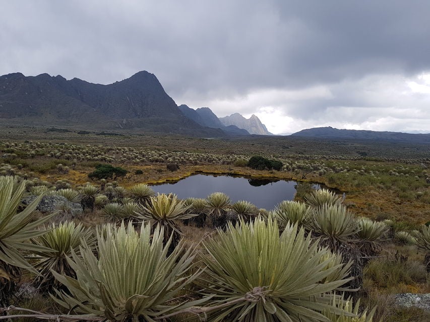 Largest Paramo Ecosystem