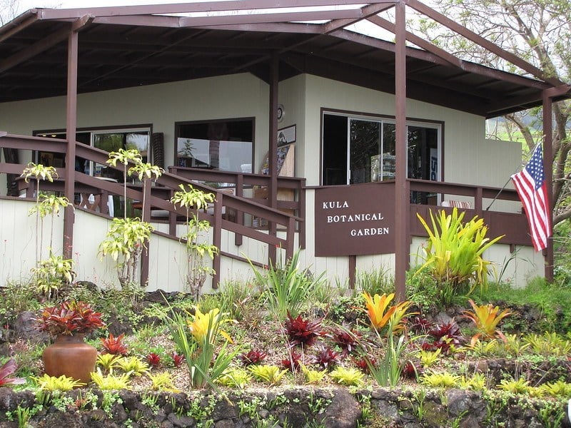 Kula Botanical Gardens, Maui