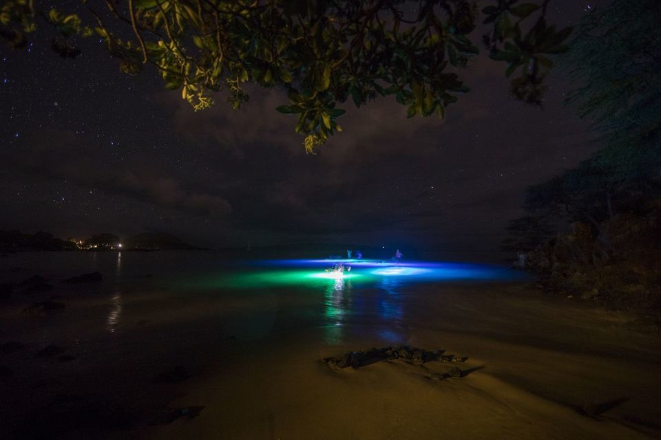 Glow stand up paddle boarding in Maui