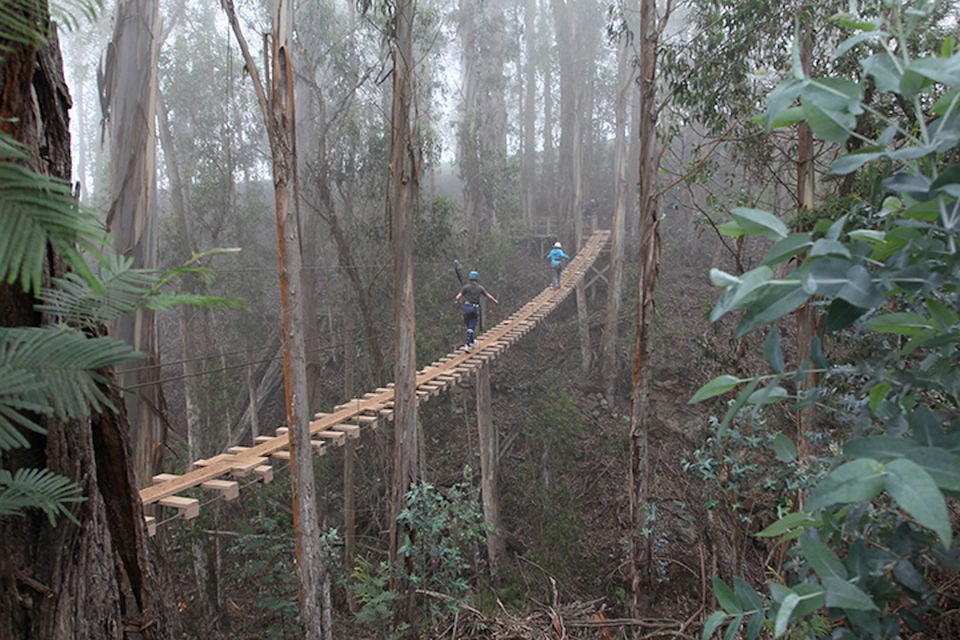 Zipline Adventure in Maui