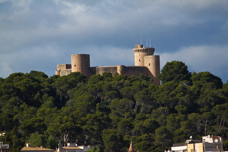 Palma