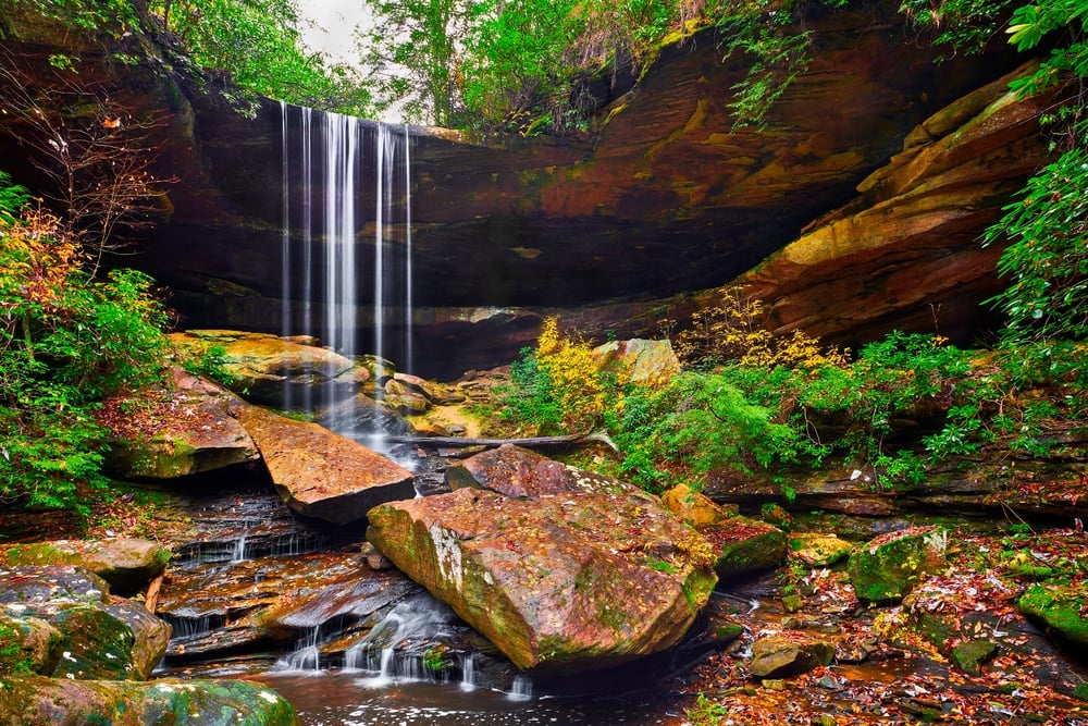 Explore the trails in Daniel Boone National Forest