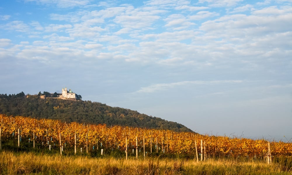 Kahlenberg Vienna