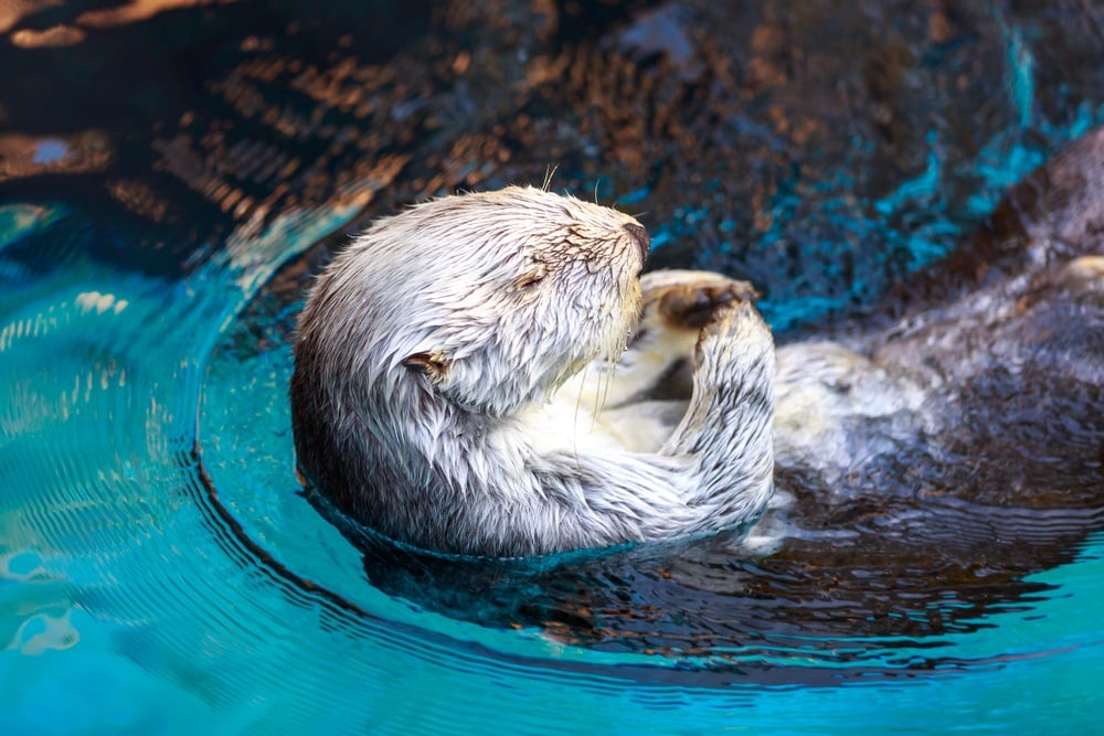 Oregon Zoo