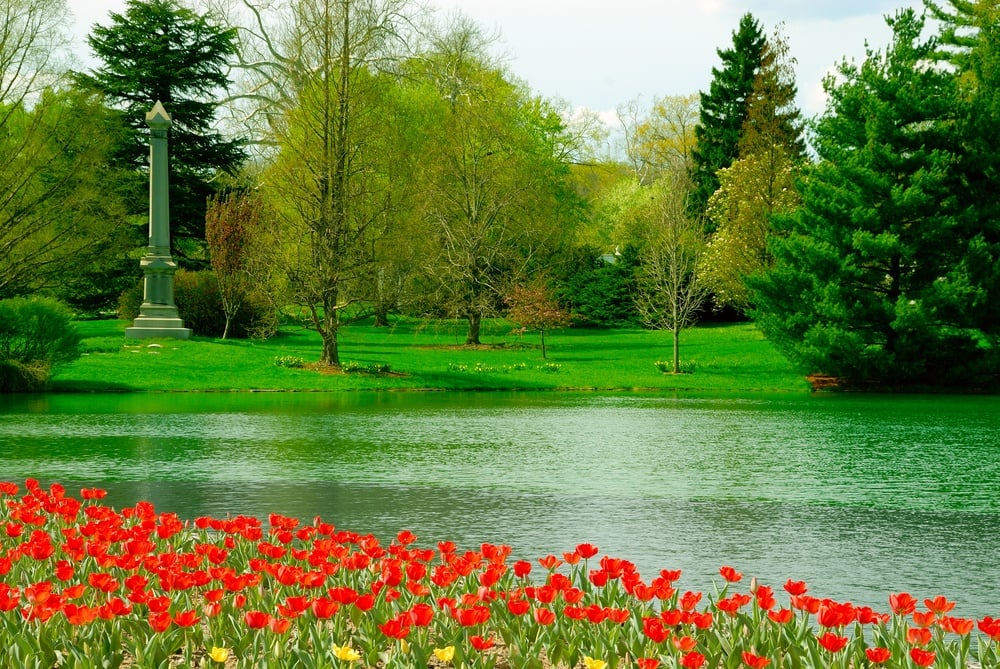 Spring Grove Cemetery