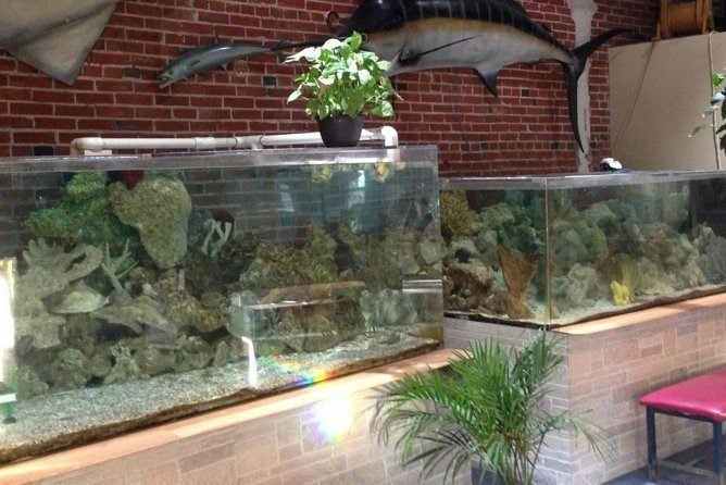 World Aquarium, St. Louis