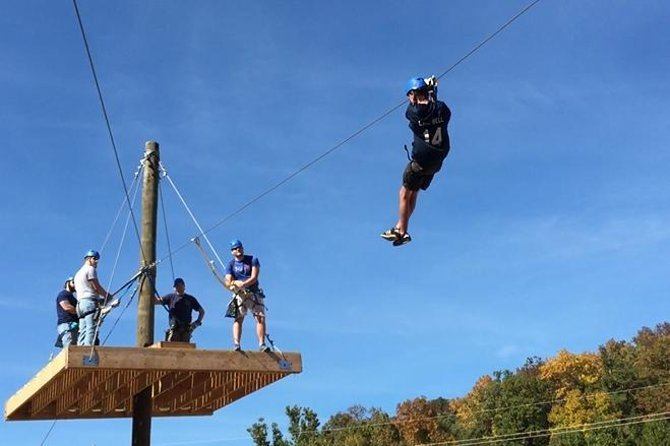 Zoom Through the Treetops on a Zip Line