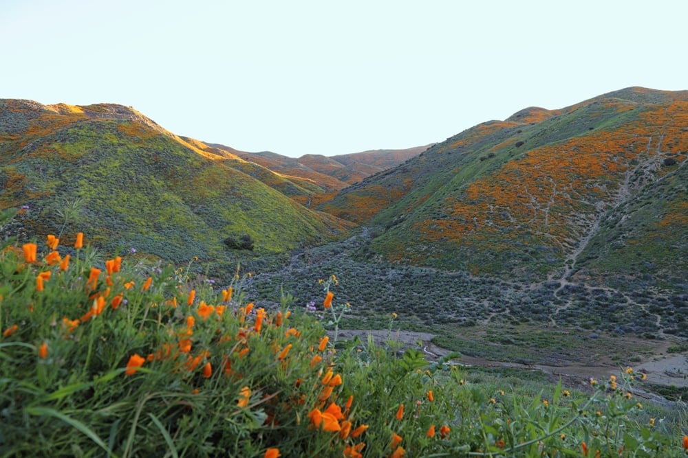 Scenery in Temecula