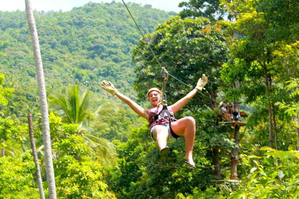 Tree Top Zipline