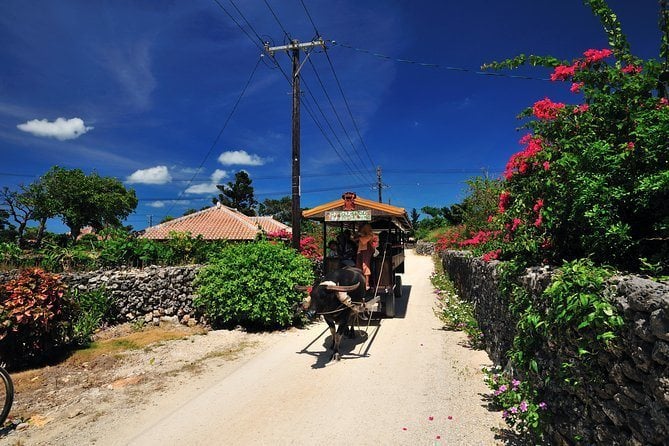 Water Buffalo Cart