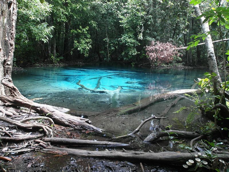 Bang Phra Nature Reserve