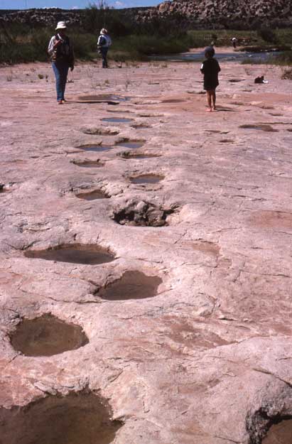 Picketwire Canyon Trackway