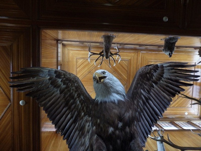 Banff Park Museum