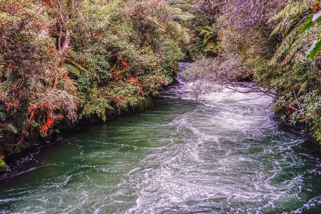 flickr-rotorua-falls