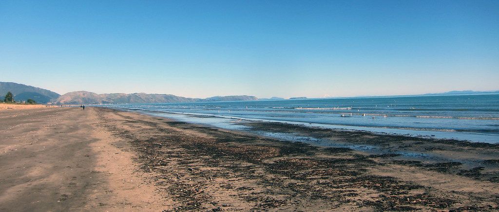 Long stretch of beach. Tide out with seaweed washed up. Beautiful blue sky and mountains in the distance. 