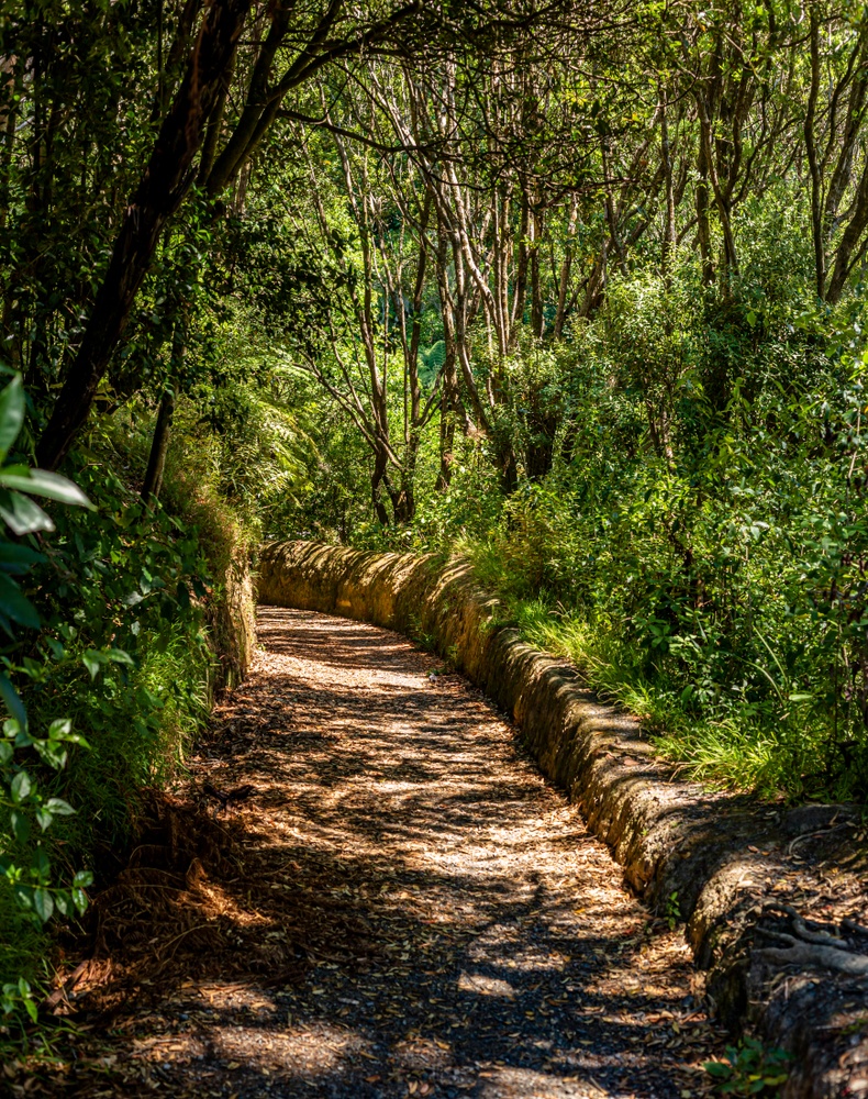 wellington-park