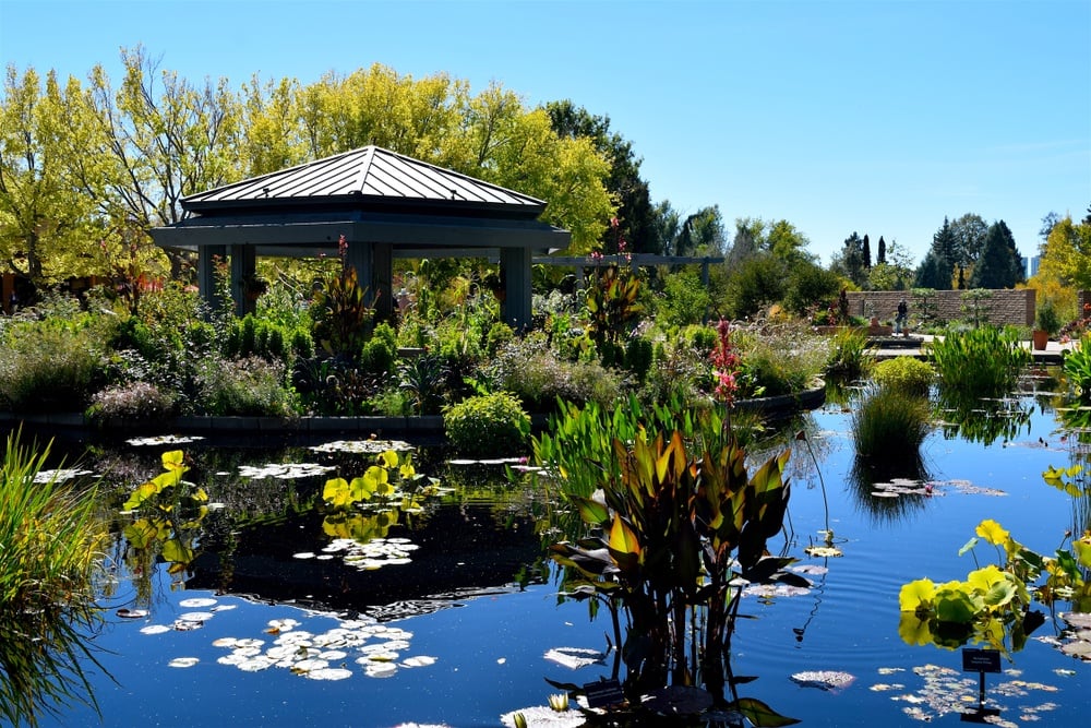 Denver Botanic Gardens