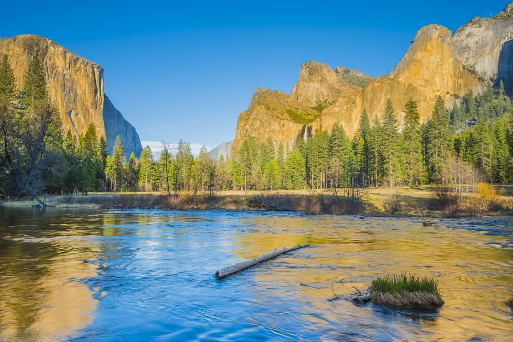 Go Gold Panning in Mariposa