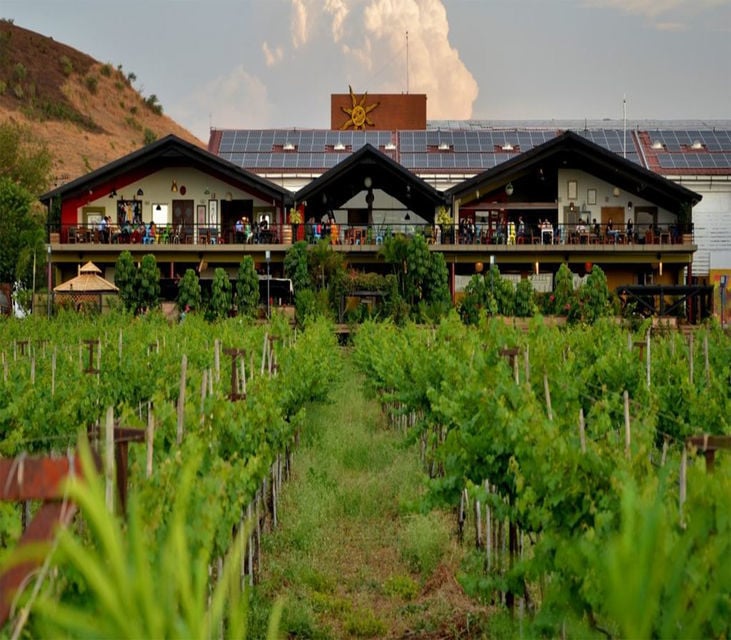 Wine Tasting in Nashik