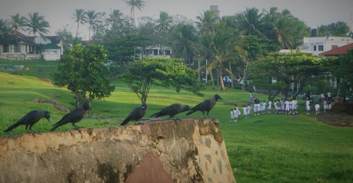 Park in Galle Fort