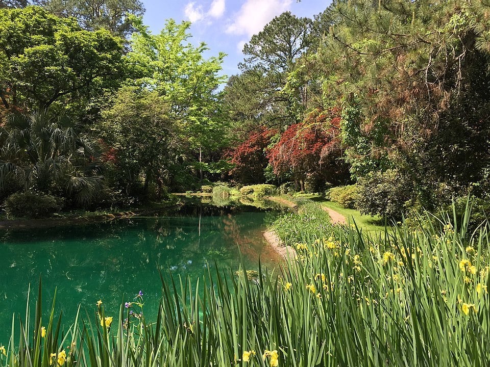 Alfred B Maclay Gardens State Park