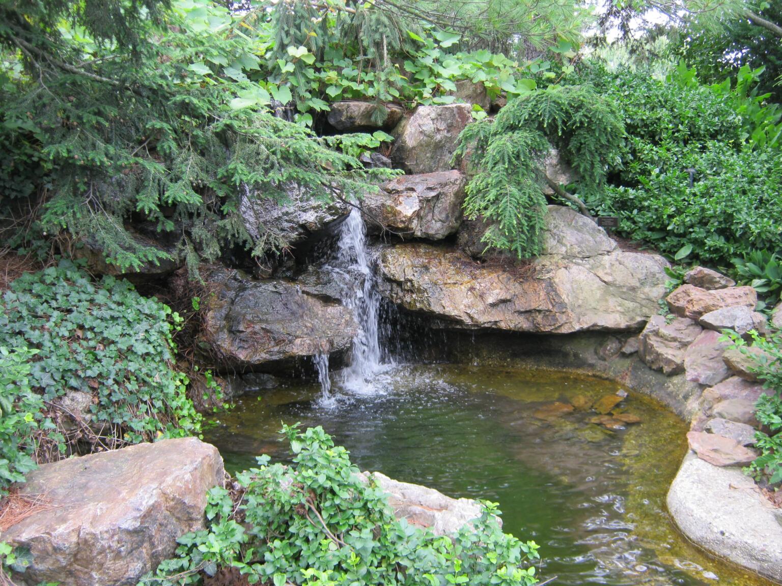 Anderson Japanese Gardens