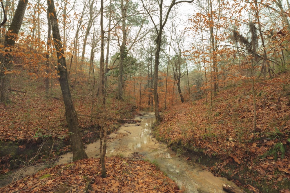 Tunica Hills, Louisiana