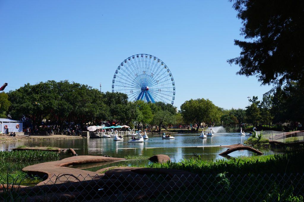 best things to do in dallas texas best things to do in dallas texas