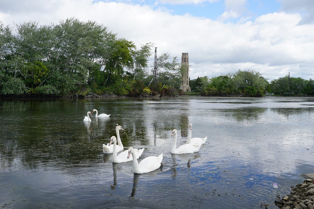 Belle Isle Nature Center