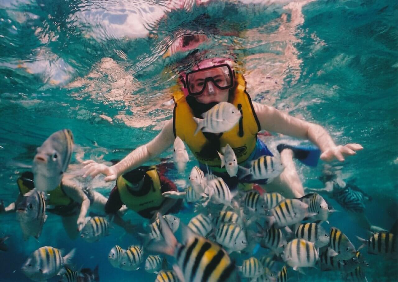 tourist attractions in cancun mexico Discover a world under the waves